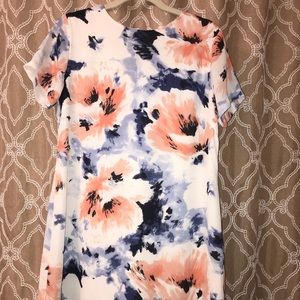 NWOT Gorgeous Floral Dress